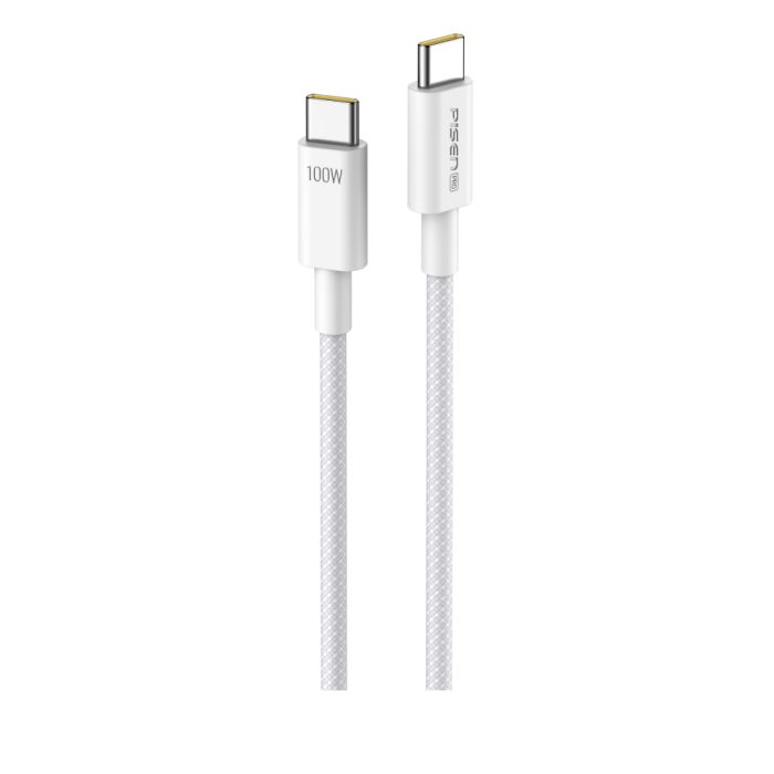 PISEN PRO C to C 100W Braided Charging Cable 